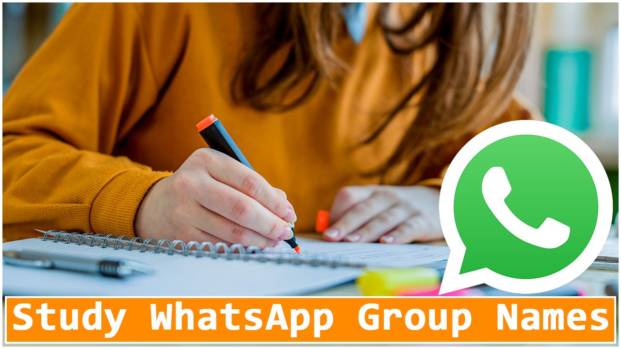 assignment work whatsapp group